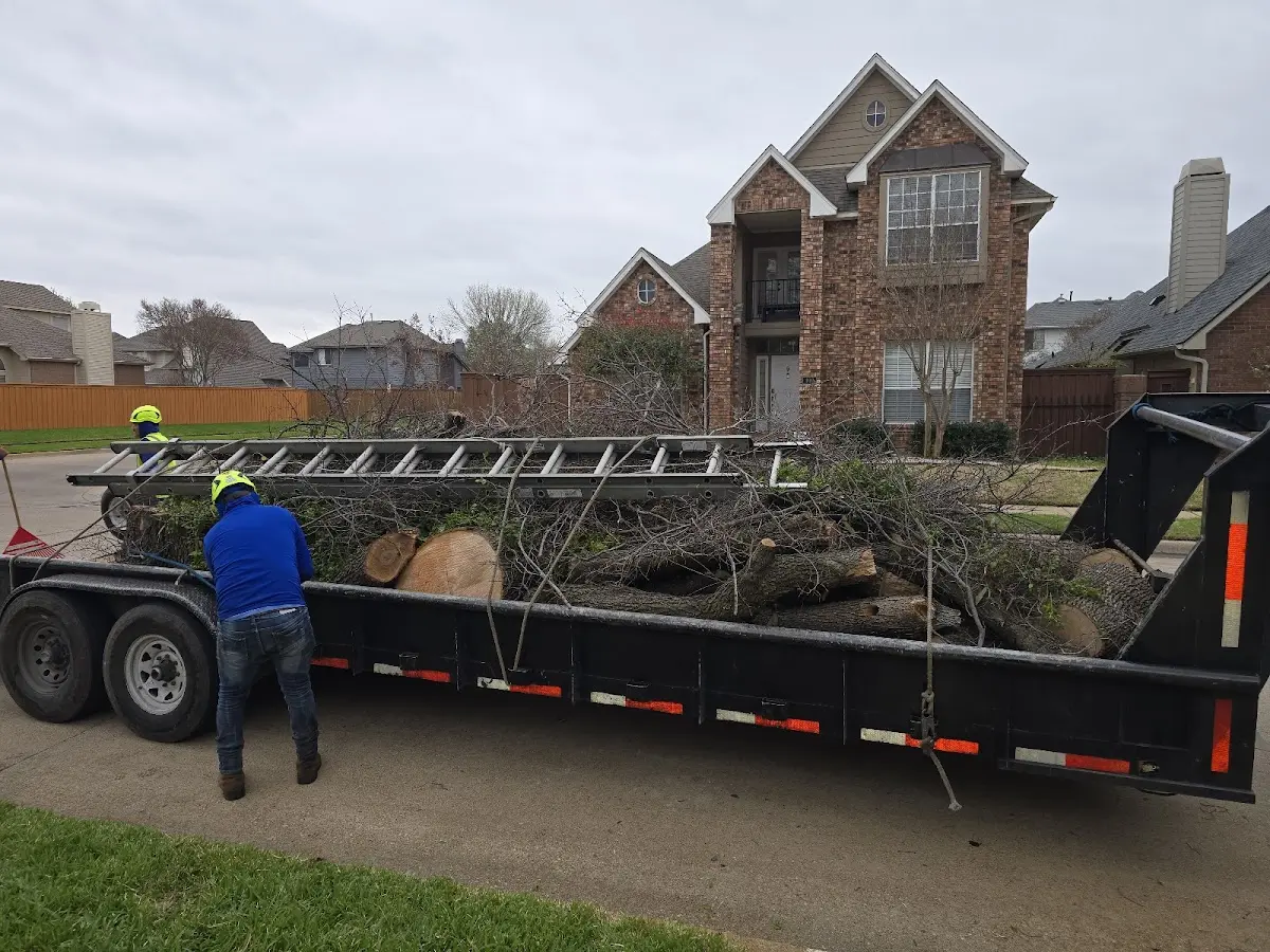 Expert Tree Pest Control with proper safety equipment in Cherry Valley